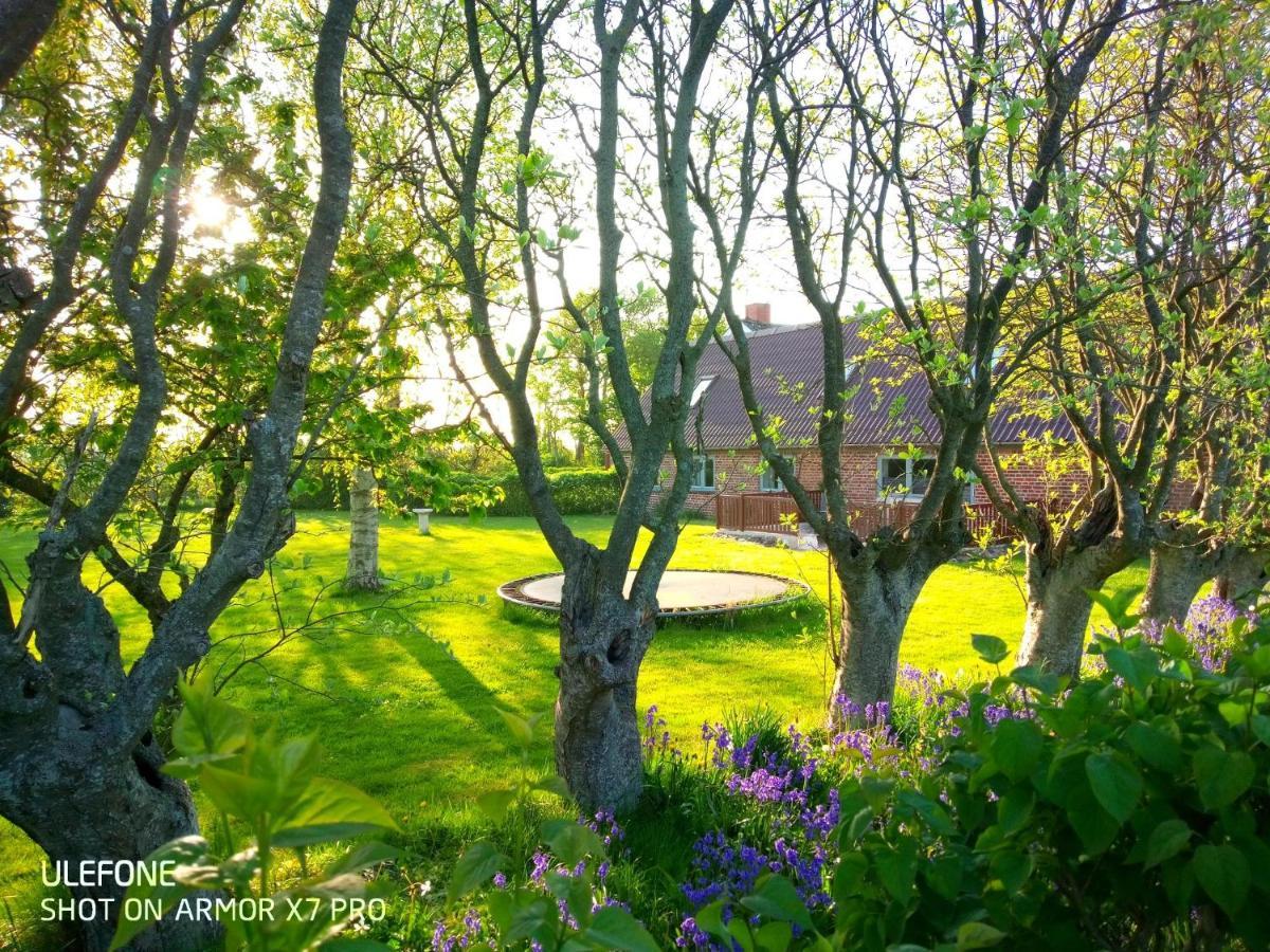 Lilleledgaard Country House Ringkobing ภายนอก รูปภาพ
